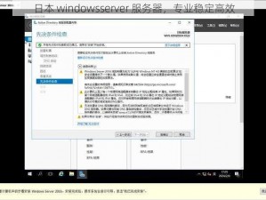 日本 windowsserver 服务器，专业稳定高效