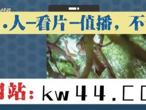 优质影视资源尽在 5g 影院天天爽永久免费入口，畅享高清无广告体验