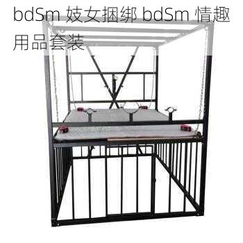 bdSm 妓女捆绑 bdSm 情趣用品套装