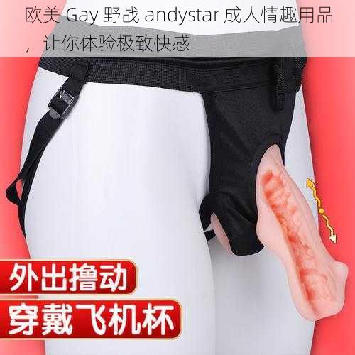 欧美 Gay 野战 andystar 成人情趣用品，让你体验极致快感