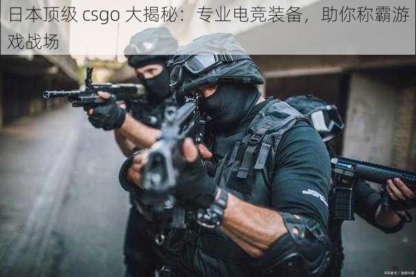 日本顶级 csgo 大揭秘：专业电竞装备，助你称霸游戏战场