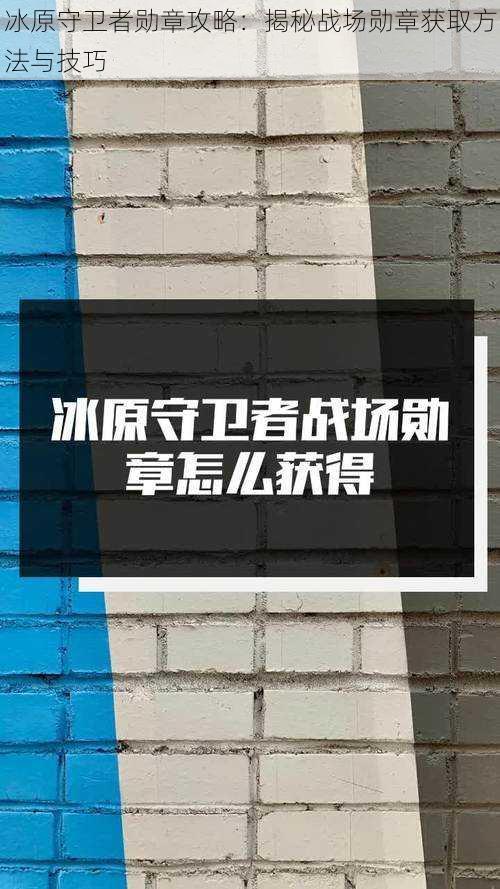 冰原守卫者勋章攻略：揭秘战场勋章获取方法与技巧